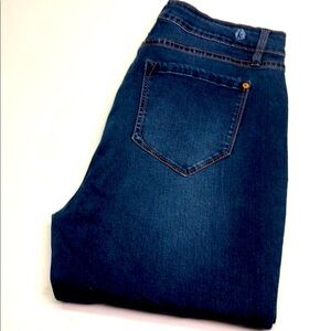 KENZIE HIGH-RISE PRETTY SKINNY JEANS 10/30x27 ⭐️